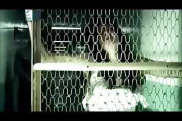 هذا فيلم سكسي عربى حقا ليس حلما! قامت الأم بإغراء ابنها لسفاح القربى الروسي في الفراش